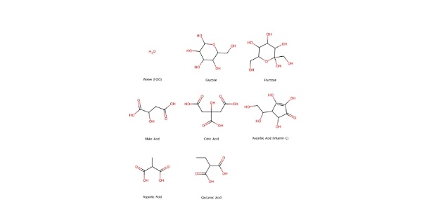 Molecular structure of birch sap