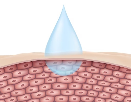 Skin cell hydration